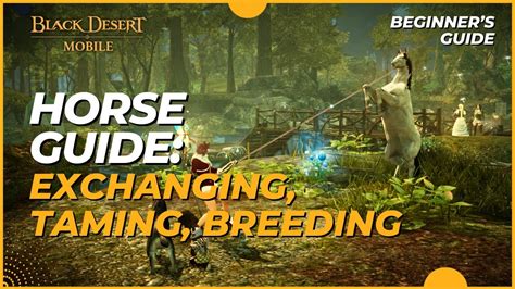 bdo horse breeding|bdo horse breeding guide.